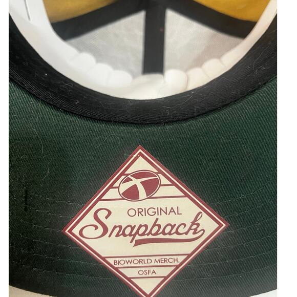 DC Comics NWT Bioworld Aquaman Snapback Orange + Green w/ Gold Logo - Picture 3 of 8